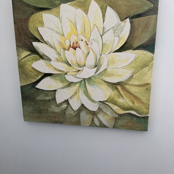 Lily Pad Pictures - Picture 6 of 9